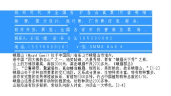 濟(jì)南市場(chǎng)營(yíng)銷策劃費(fèi)專用增值稅進(jìn)項(xiàng)發(fā)票抬頭詳解